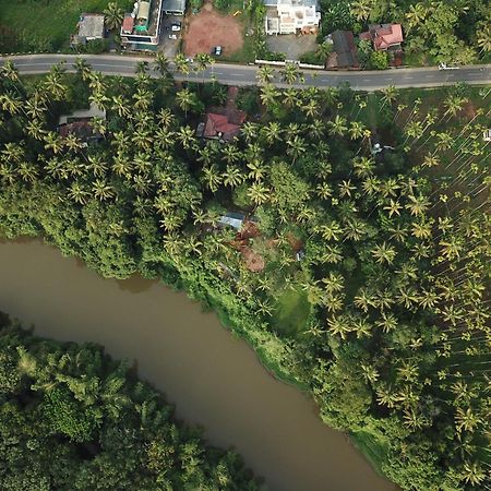 Paddyfield Inn Mananthavady Ngoại thất bức ảnh