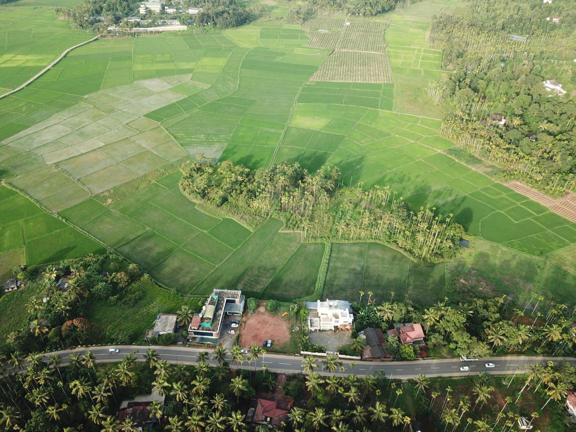 Paddyfield Inn Mananthavady Ngoại thất bức ảnh