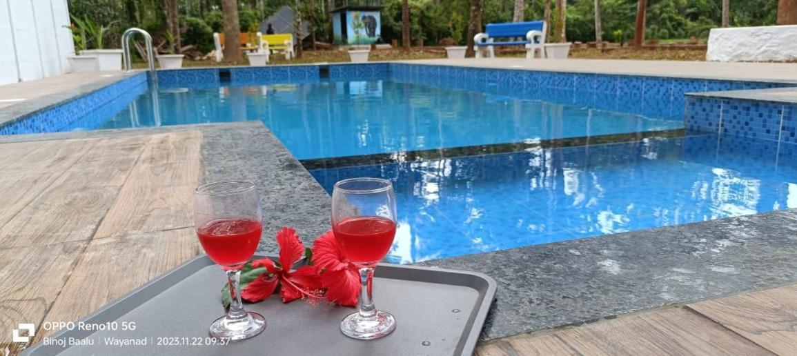 Paddyfield Inn Mananthavady Ngoại thất bức ảnh